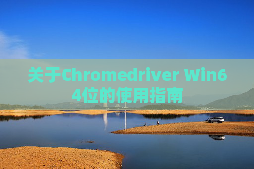 关于Chromedriver Win64位的使用指南
