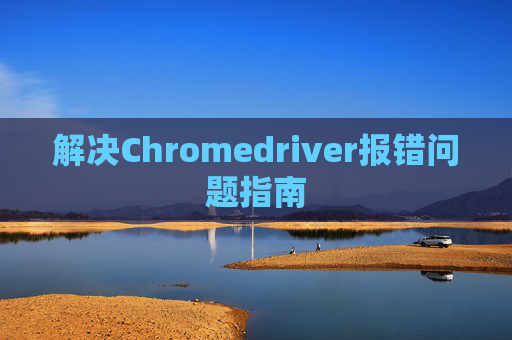 解决Chromedriver报错问题指南