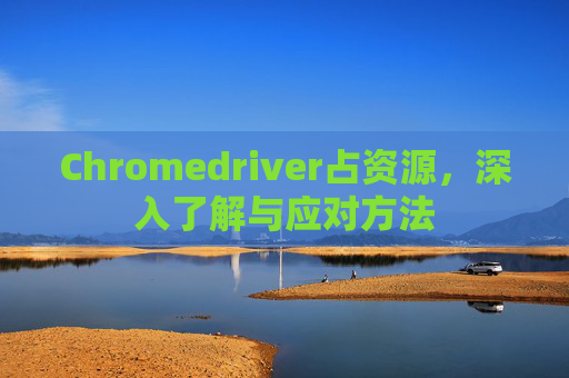 Chromedriver占资源，深入了解与应对方法